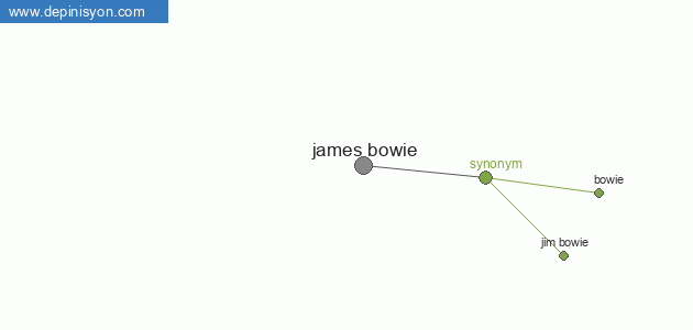 Visual synonyms of james bowie